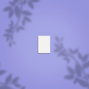 Lima Buff Rectangular Mini STALEKS PRO 100/180 grit, (50 uds)