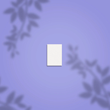 Lima Buff Rectangular Mini STALEKS PRO 100/180 grit, (50 uds)