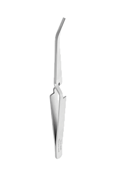 Pinza EXPERT 31 TYPE 2