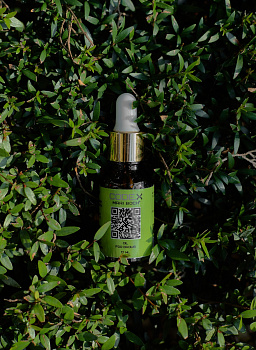 Brow Oil