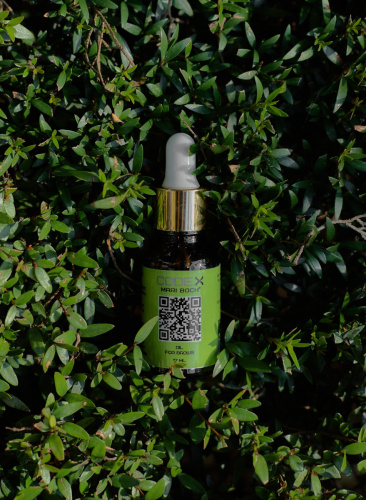 Brow Oil